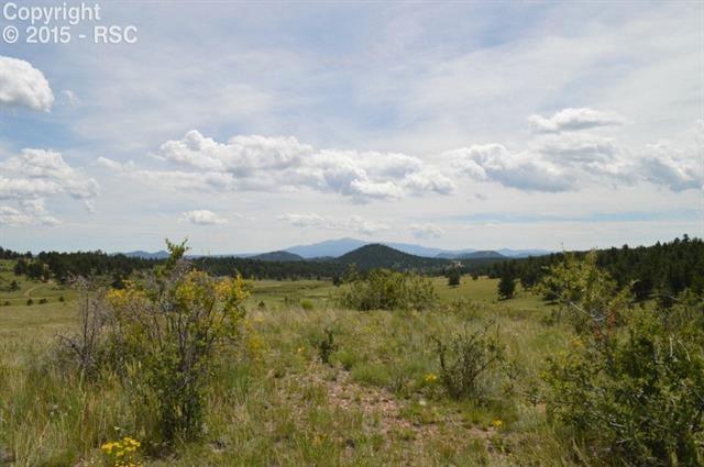 811 Pulver Road Lake George, CO 80827 - Photo 2 of 5 Gallery Image 2
