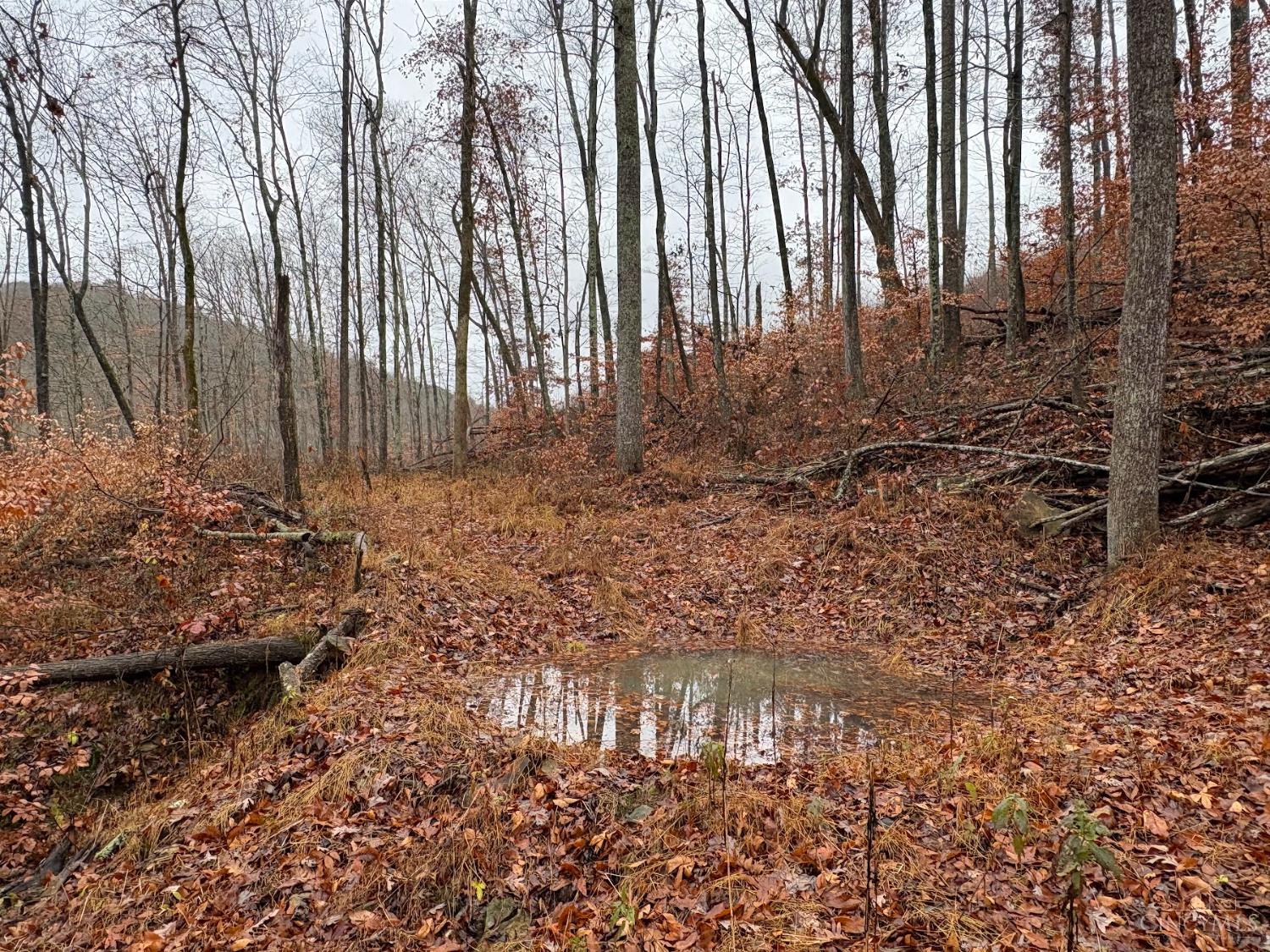 Ac Beech Fork Road Peebles, OH 45660 - Photo 27 of 49