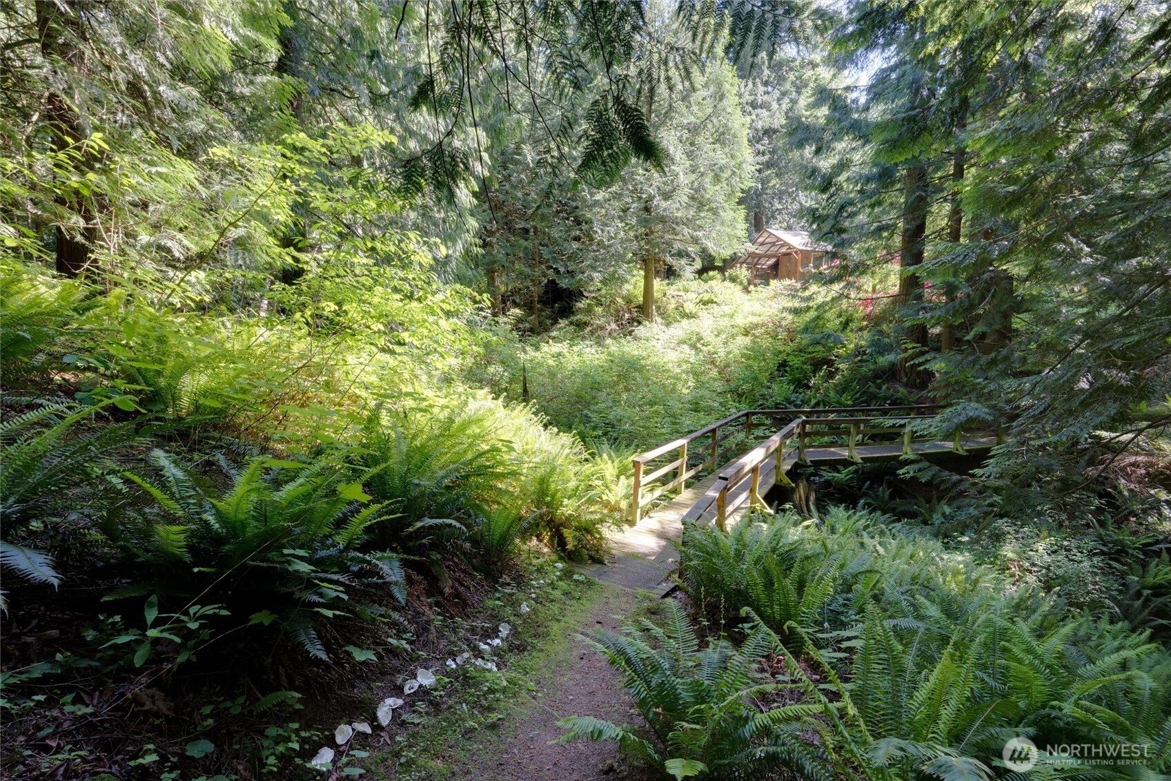 4315 Nordum Road Everson, WA 98247 - Photo 4 of 40 a view of a forest with a tree