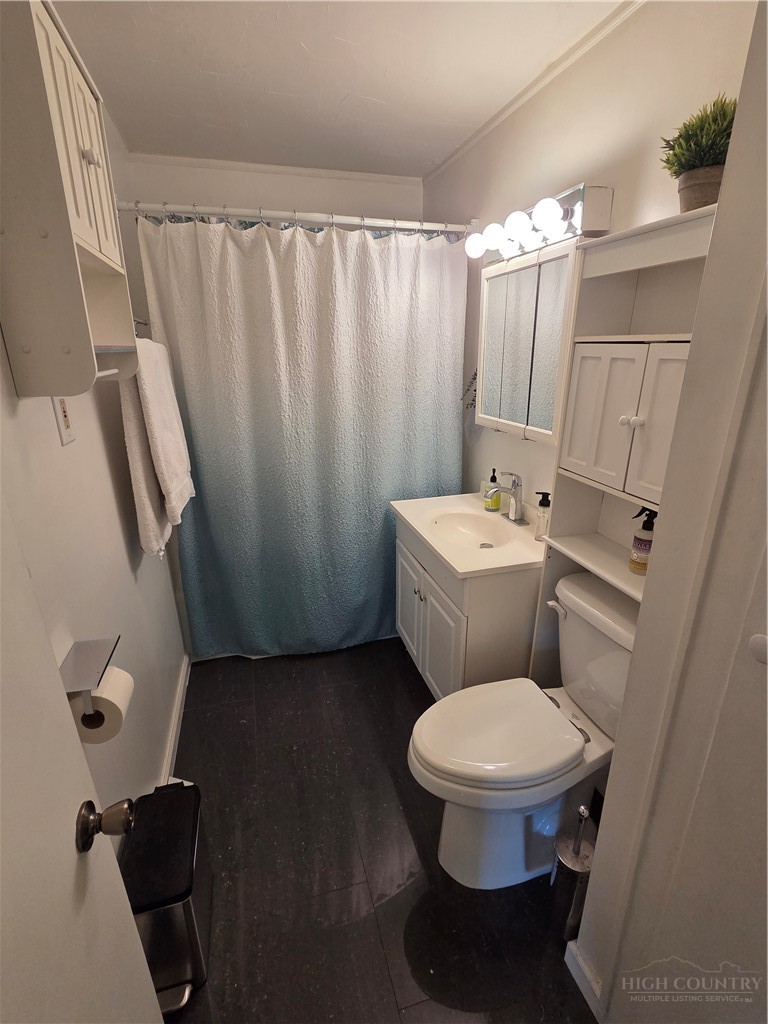 145 Black Oak Ridge Road Taylorsville, NC 28681 - Photo 23 of 39 a bathroom with a sink a toilet a mirror and shower curtain