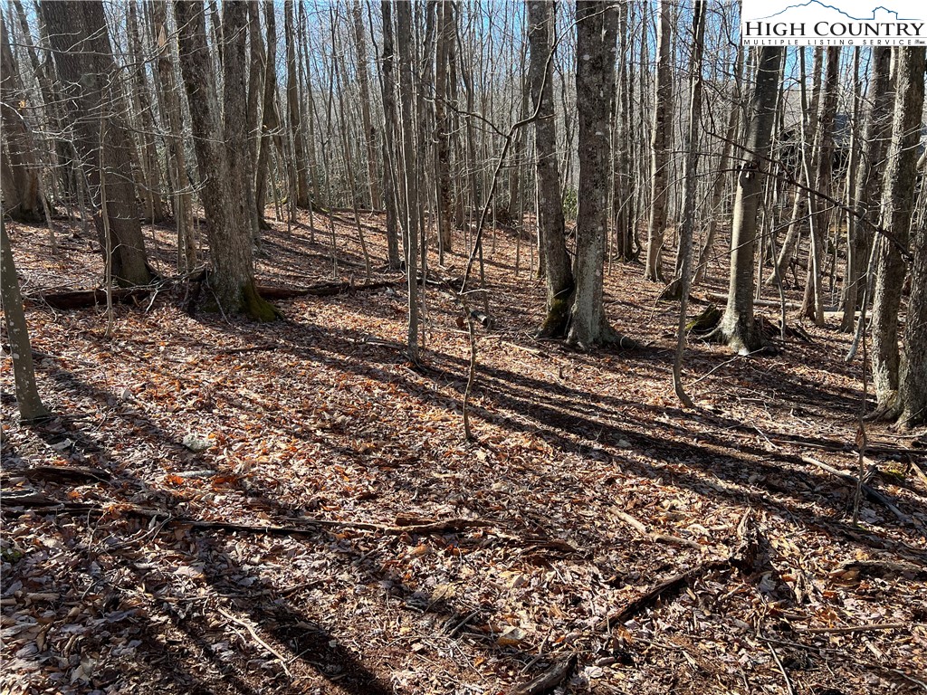 Lot 43 Buckeye Ridge Road Beech Mountain, NC 28604 - Photo 1 of 7 Gallery Image 1