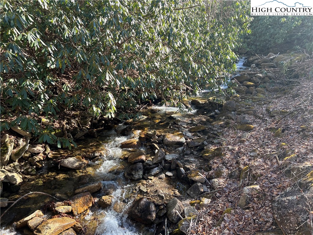Lot 43 Buckeye Ridge Road Beech Mountain, NC 28604 - Photo 3 of 7 Gallery Image 3