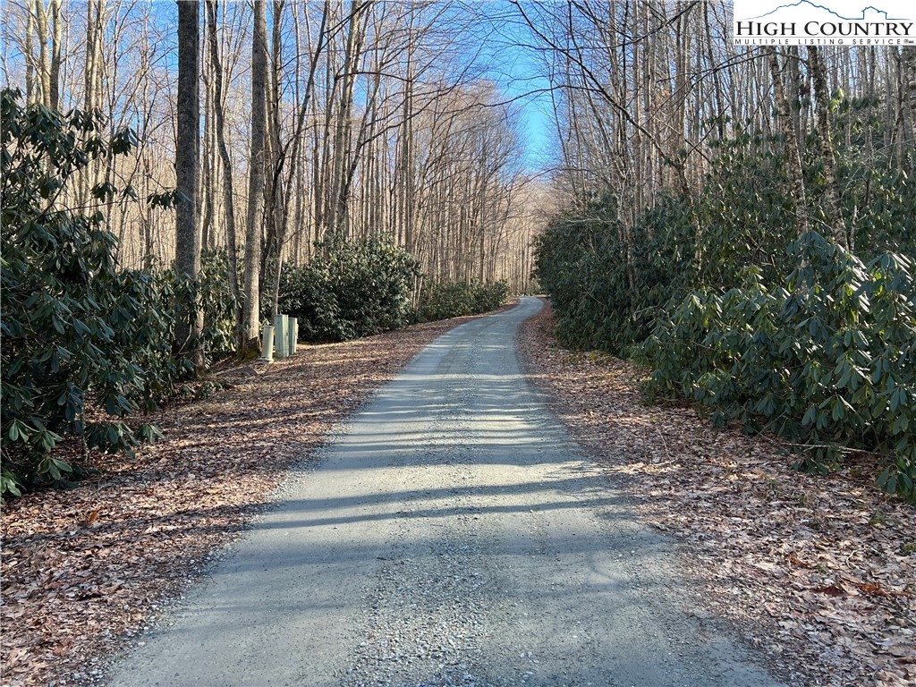 Lot 43 Buckeye Ridge Road Beech Mountain, NC 28604 - Photo 4 of 7 Gallery Image 4