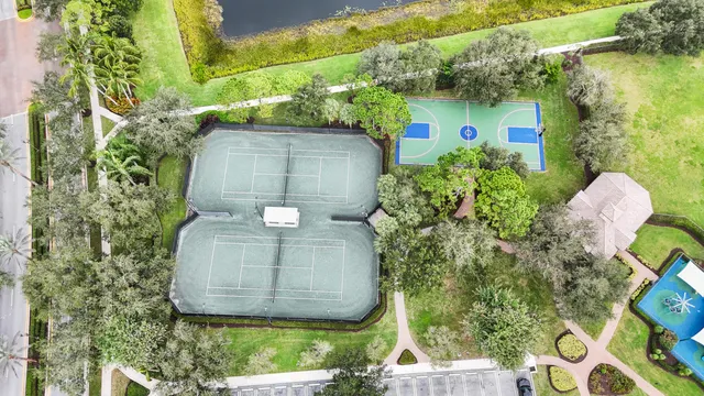 a view of a yard with plants