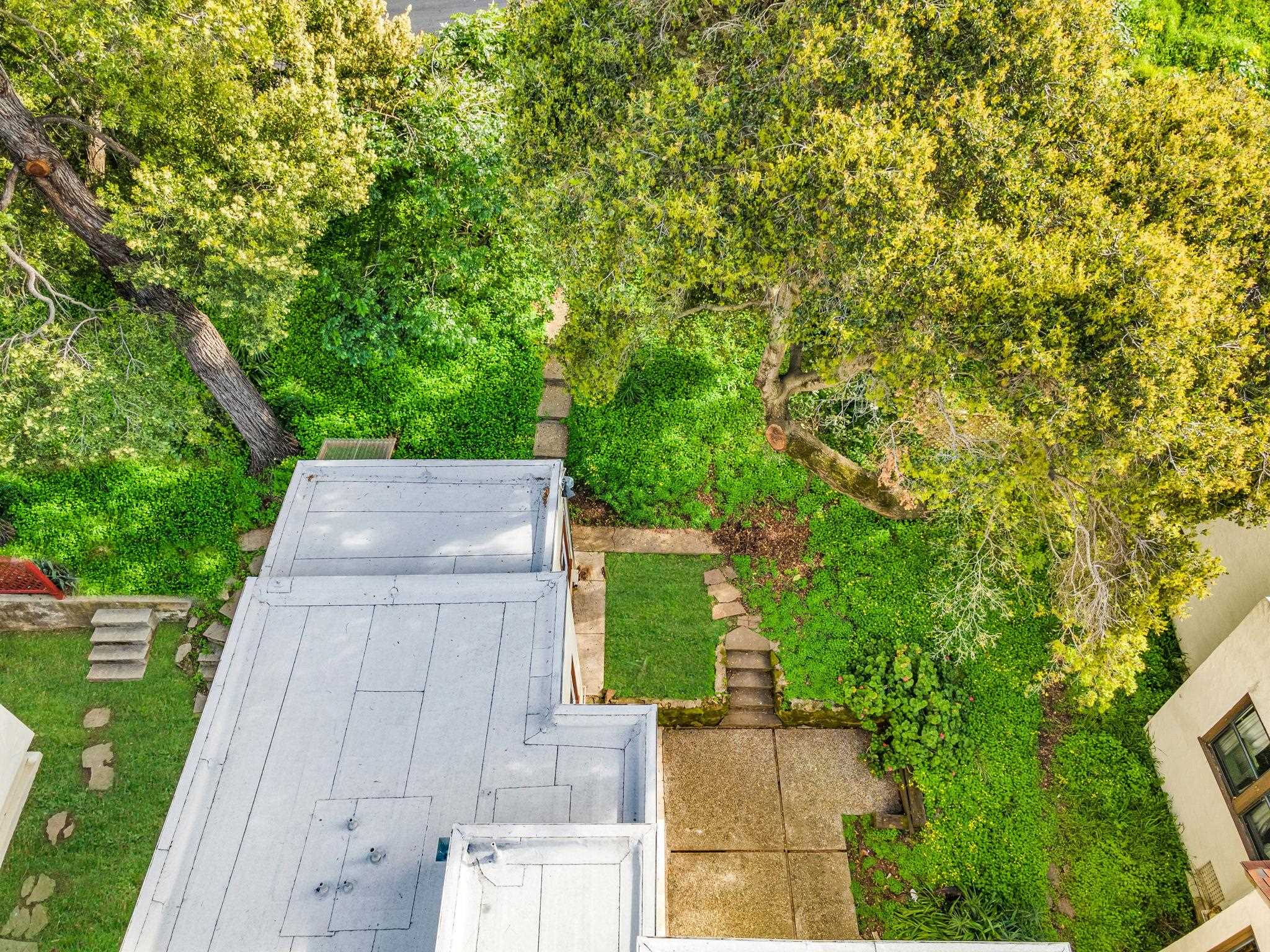 2340 Virginia Street Berkeley, CA 94709 - Photo 53 of 60 a view of a yard with plants and large trees