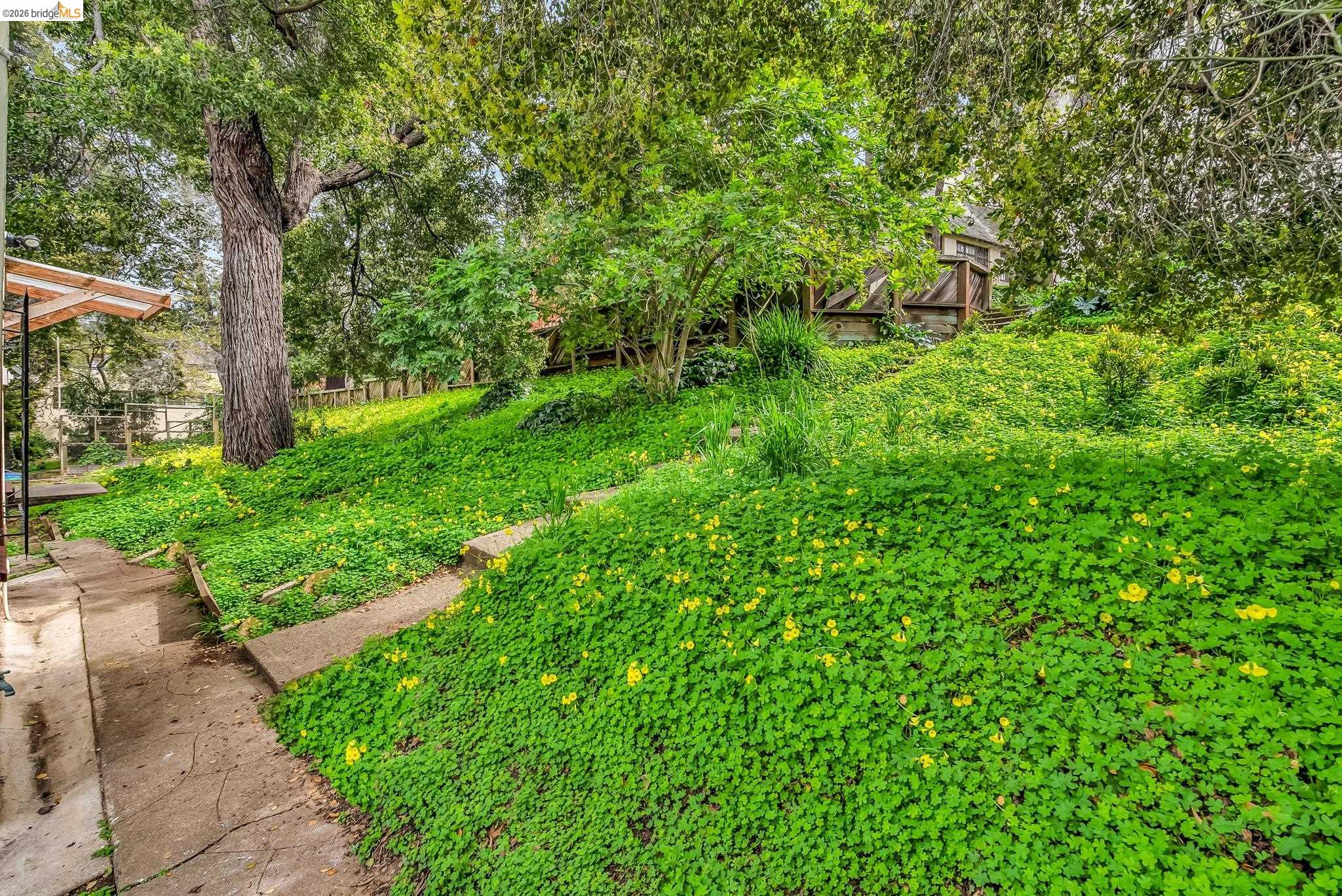 2340 Virginia Street Berkeley, CA 94709 - Photo 58 of 60