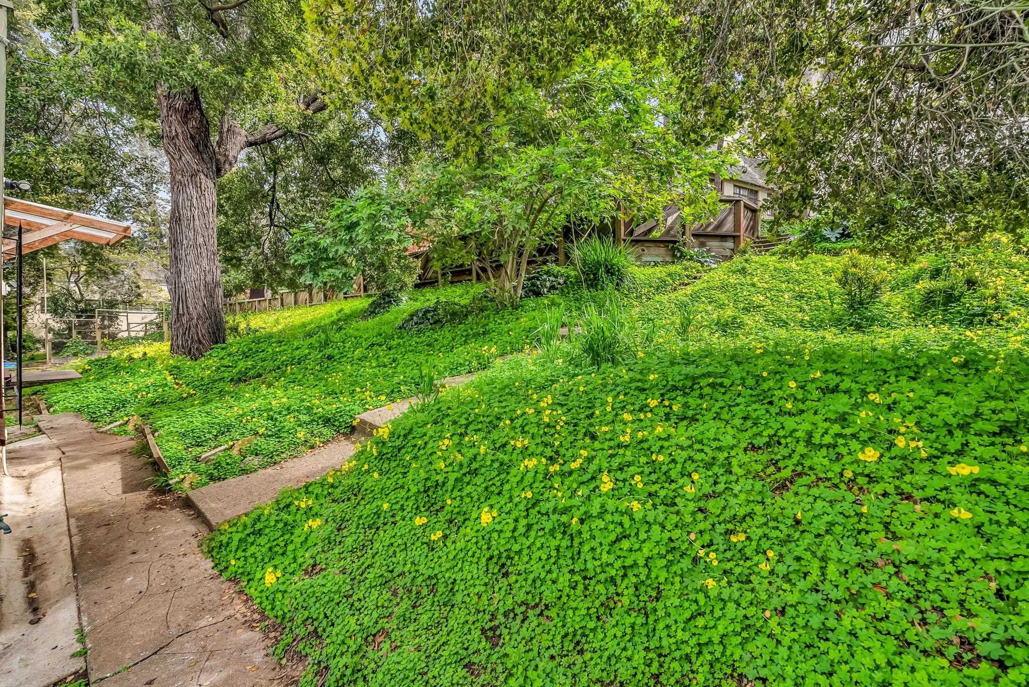 2340 Virginia Street Berkeley, CA 94709 - Photo 58 of 60 a view of a garden with a tree