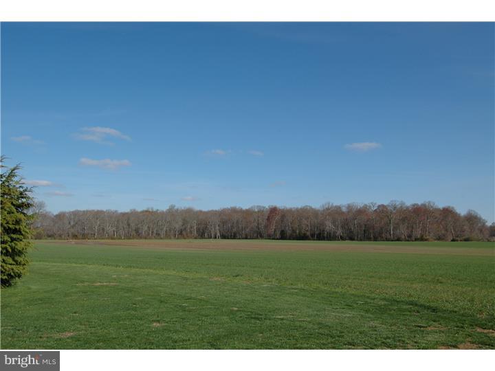 557 Island Road Columbus, NJ 08022 - Photo 23 of 25 View