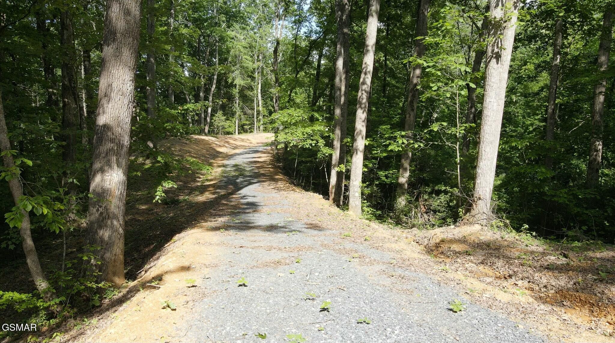 0 Little Bear Road Cosby, TN 37722 - Photo 27 of 46 Gallery Image 27
