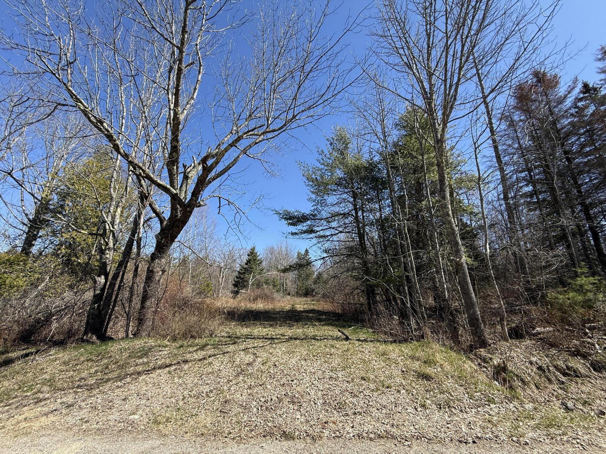 Lot 018-00 Fisher Road Holden, ME 04429 - Photo 2 of 3 IMG_6726