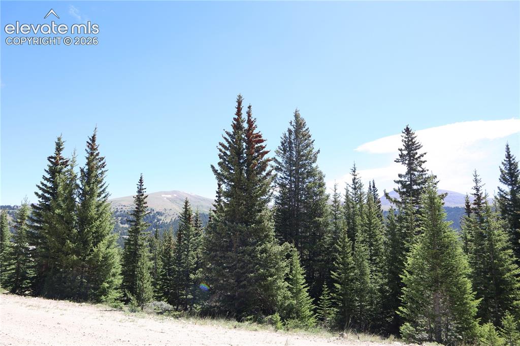 1480 Roberts Road Alma, CO 80420 - Photo 7 of 26