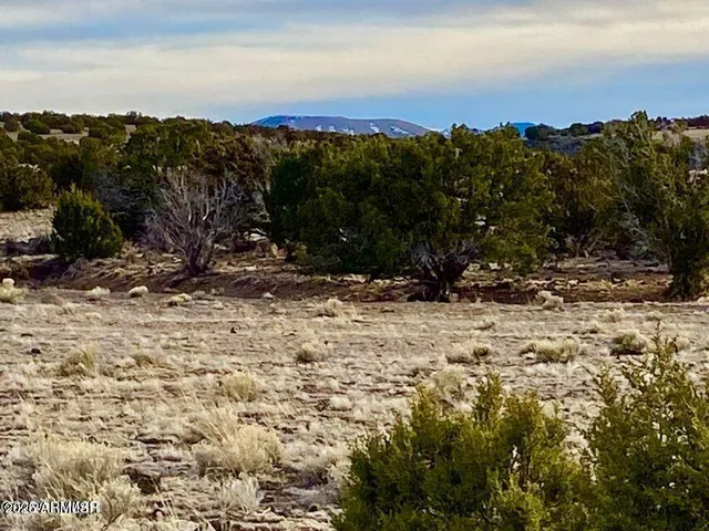 $4,499 | 5201 1.22 Acres Concho Az 85924, Concho, AZ 85924