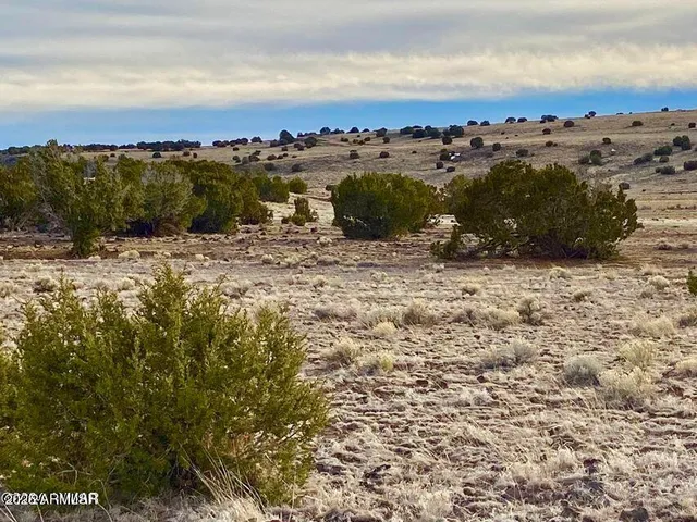 $4,499 | 5201 1.22 Acres Concho Az 85924, Concho, AZ 85924