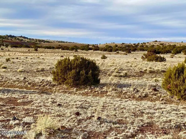 $4,499 | 5201 1.22 Acres Concho Az 85924, Concho, AZ 85924