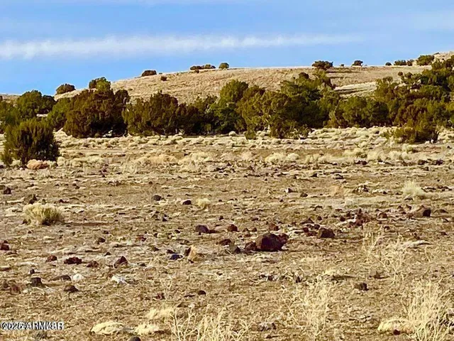 $4,499 | 5201 1.22 Acres Concho Az 85924, Concho, AZ 85924