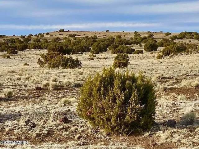 $4,499 | 5201 1.22 Acres Concho Az 85924, Concho, AZ 85924