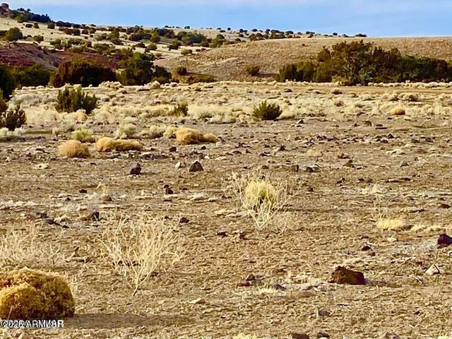 $4,499 | 5201 1.22 Acres Concho Az 85924, Concho, AZ 85924