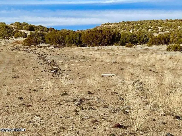 $4,499 | 5201 1.22 Acres Concho Az 85924, Concho, AZ 85924
