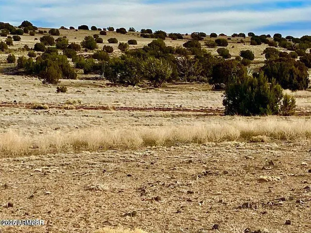$4,499 | 5201 1.22 Acres Concho Az 85924, Concho, AZ 85924