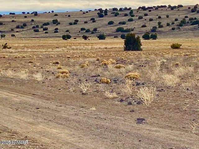 $4,499 | 5201 1.22 Acres Concho Az 85924, Concho, AZ 85924