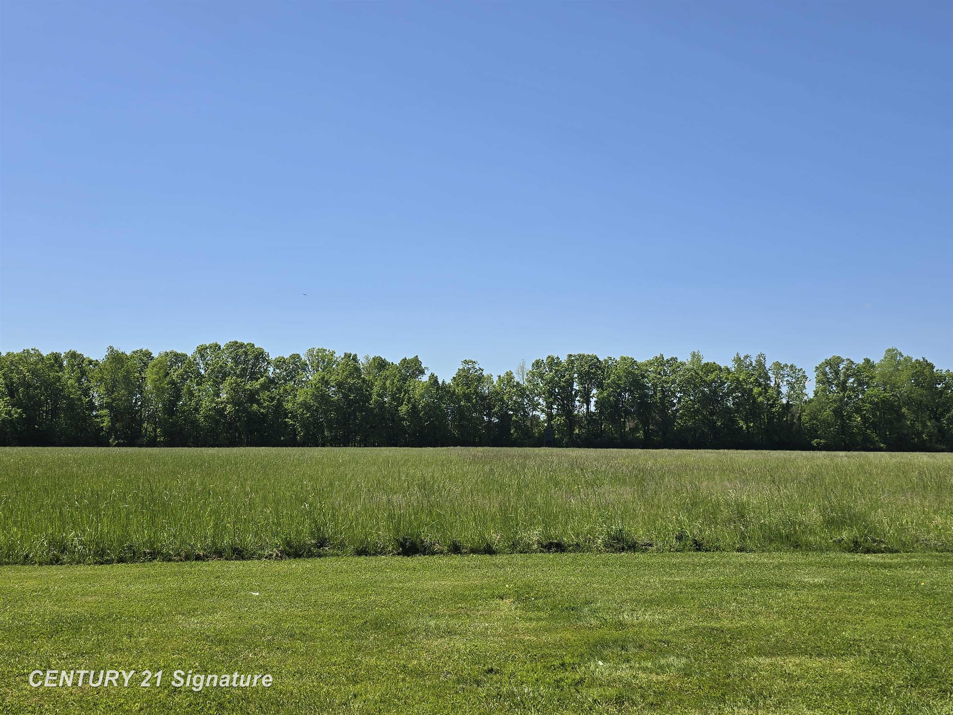 1162 East Farrand Road Clio, MI 48420 - Photo 67 of 88