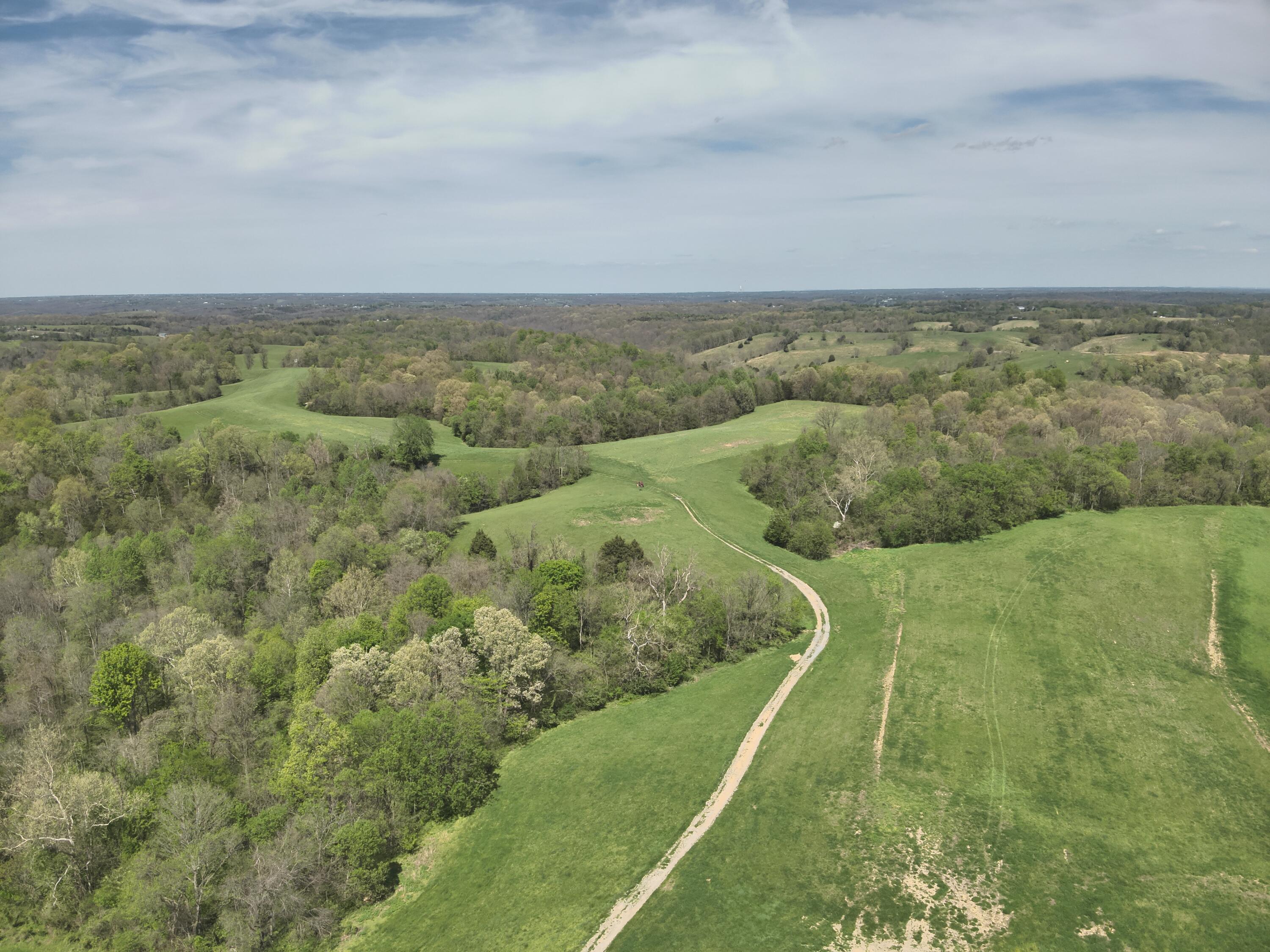 2451 Sardis Road Mount Olivet, KY 41064 - Photo 20 of 42