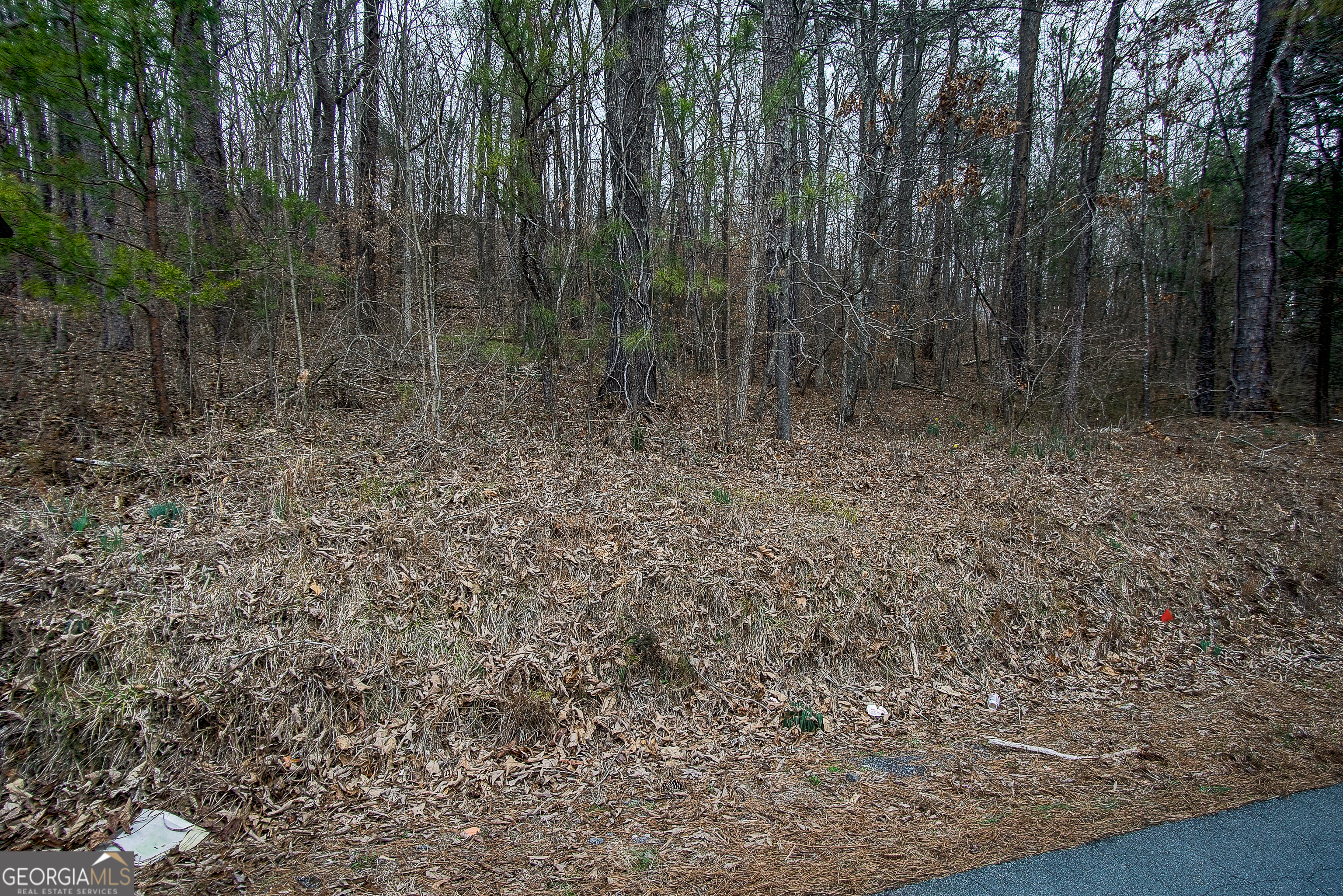 0 Moores Ferry Road Plainville, GA 30733 - Photo 1 of 1 Gallery Image 1