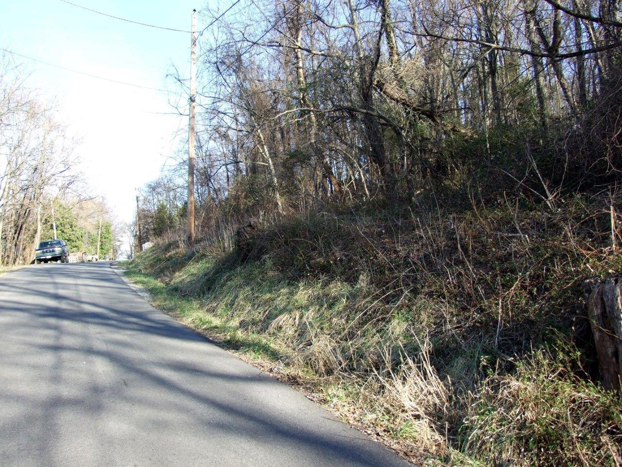 0 Hershberger Road Northwest Roanoke, VA 24017 - Photo 3 of 6 a view of a yard with plants and trees