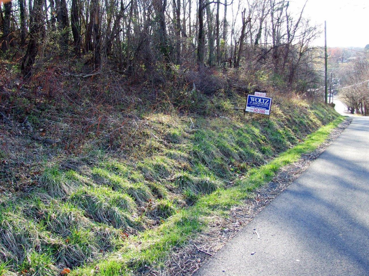 0 Hershberger Road Northwest Roanoke, VA 24017 - Photo 4 of 6 a view of a forest with trees