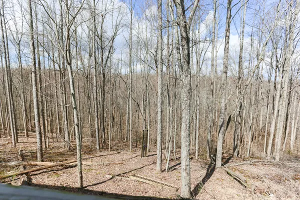 $359,000 | 161 Shiloh Lane, Smithville, TN 37166