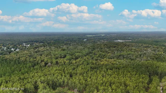 a view of a big yard with lots of bushes