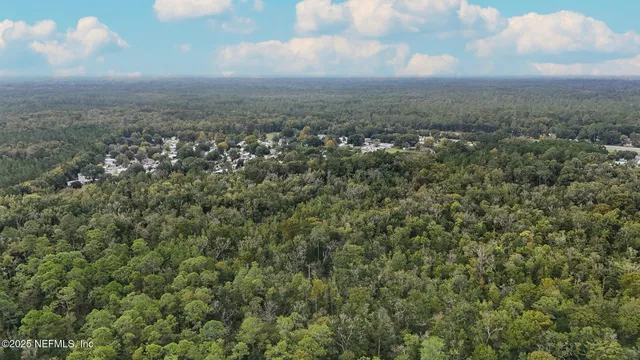 a view of a city and green space