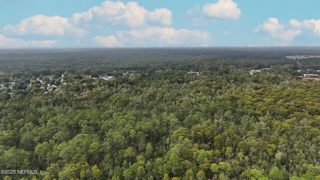a view of city and green space