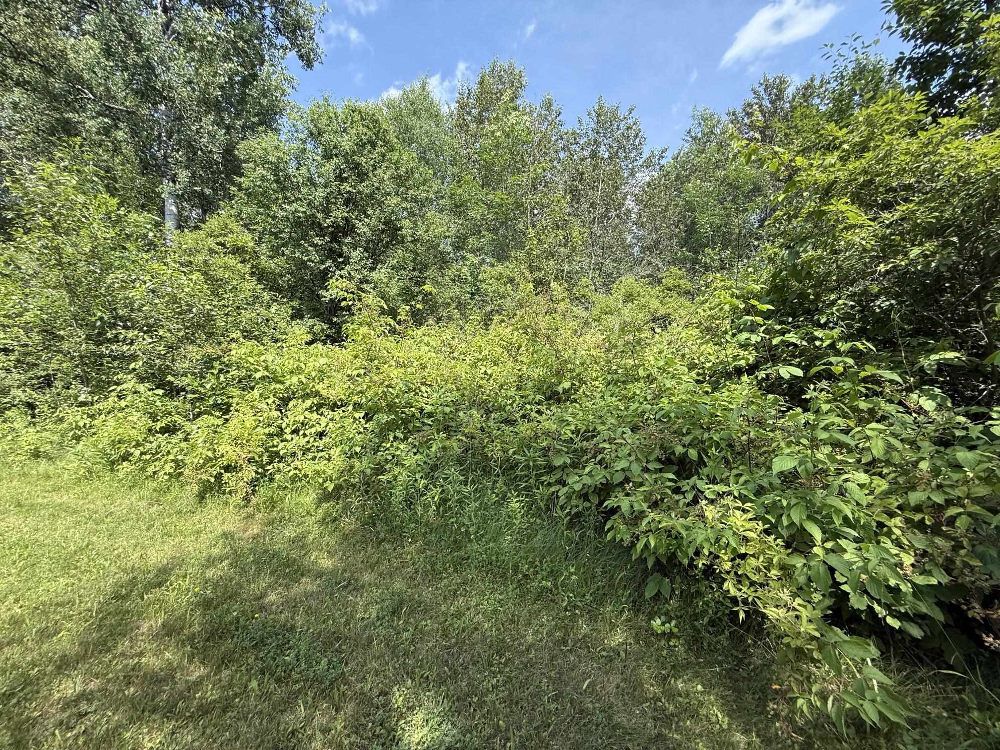 1225 West Sun Oil Road Gladwin, MI 48624 - Photo 9 of 46