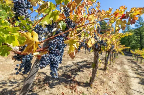 $3,595,000 | 35 Bear Paw, Portola Valley, CA 94028