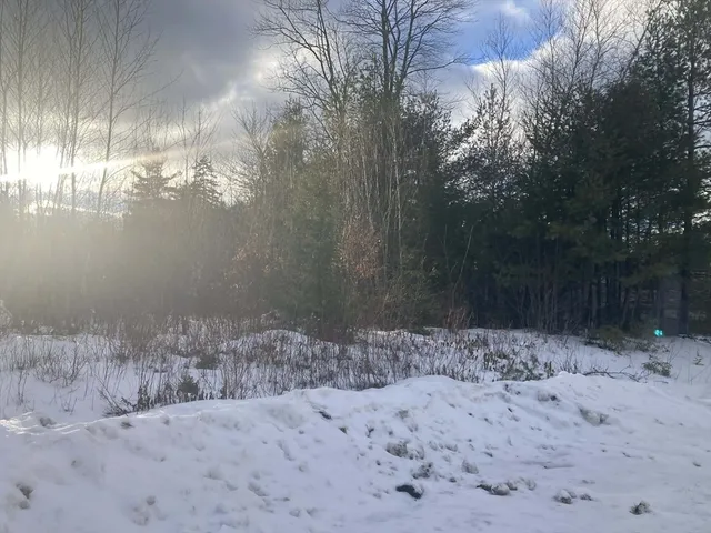 a view of a yard covered in snow