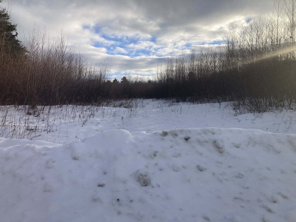 Lot 6 Suffolk Lane Gardner, MA 01440 - Photo 7 of 9 a view of a yard