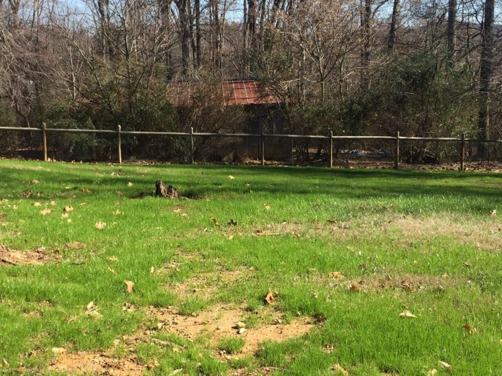 832 Bell Road Morristown, TN 37814 - Photo 4 of 20 Photo 4