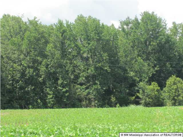 15 Reeves Road Ashland, MS 38603 - Photo 4 of 12 Additional Photo