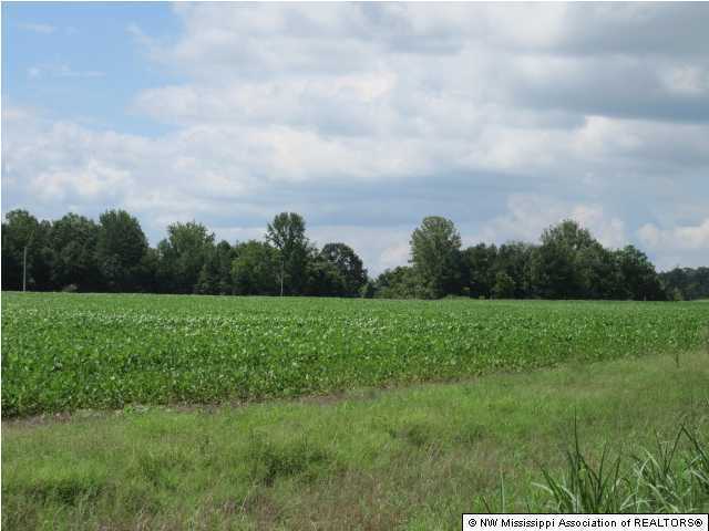 15 Reeves Road Ashland, MS 38603 - Photo 10 of 12 Additional Photo