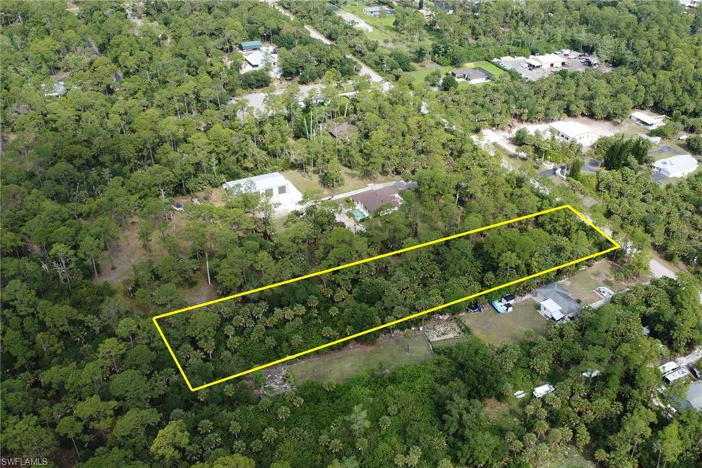 Xxx 14th Avenue Northeast Naples, FL 34120 - Photo 5 of 8 a view of a forest