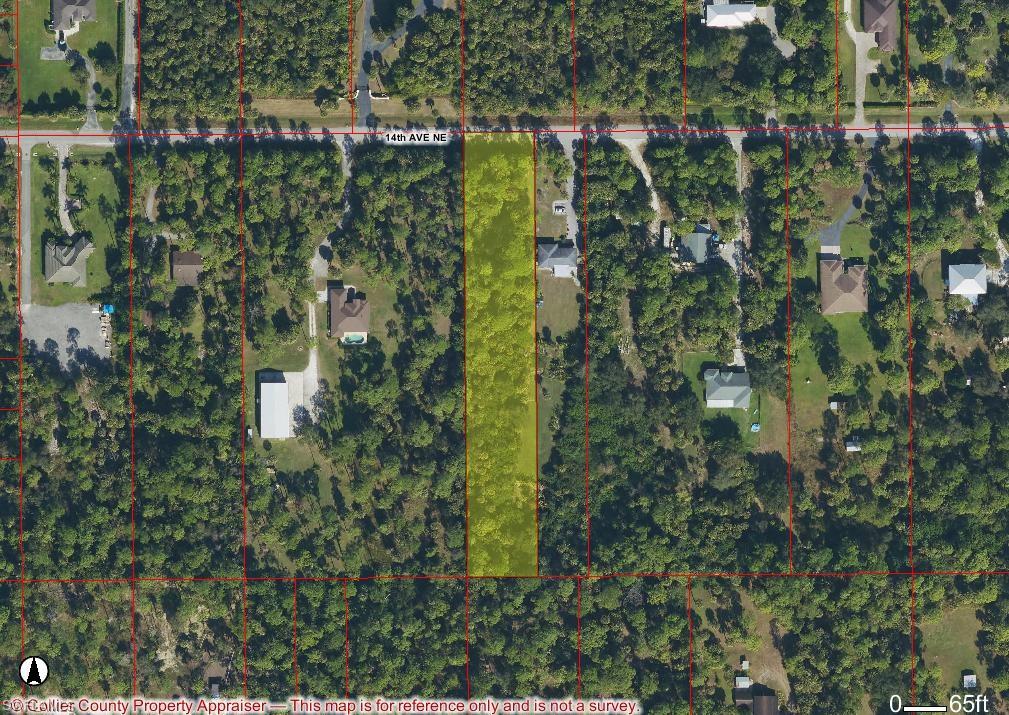 Xxx 14th Avenue Northeast Naples, FL 34120 - Photo 8 of 8 a view of a garden