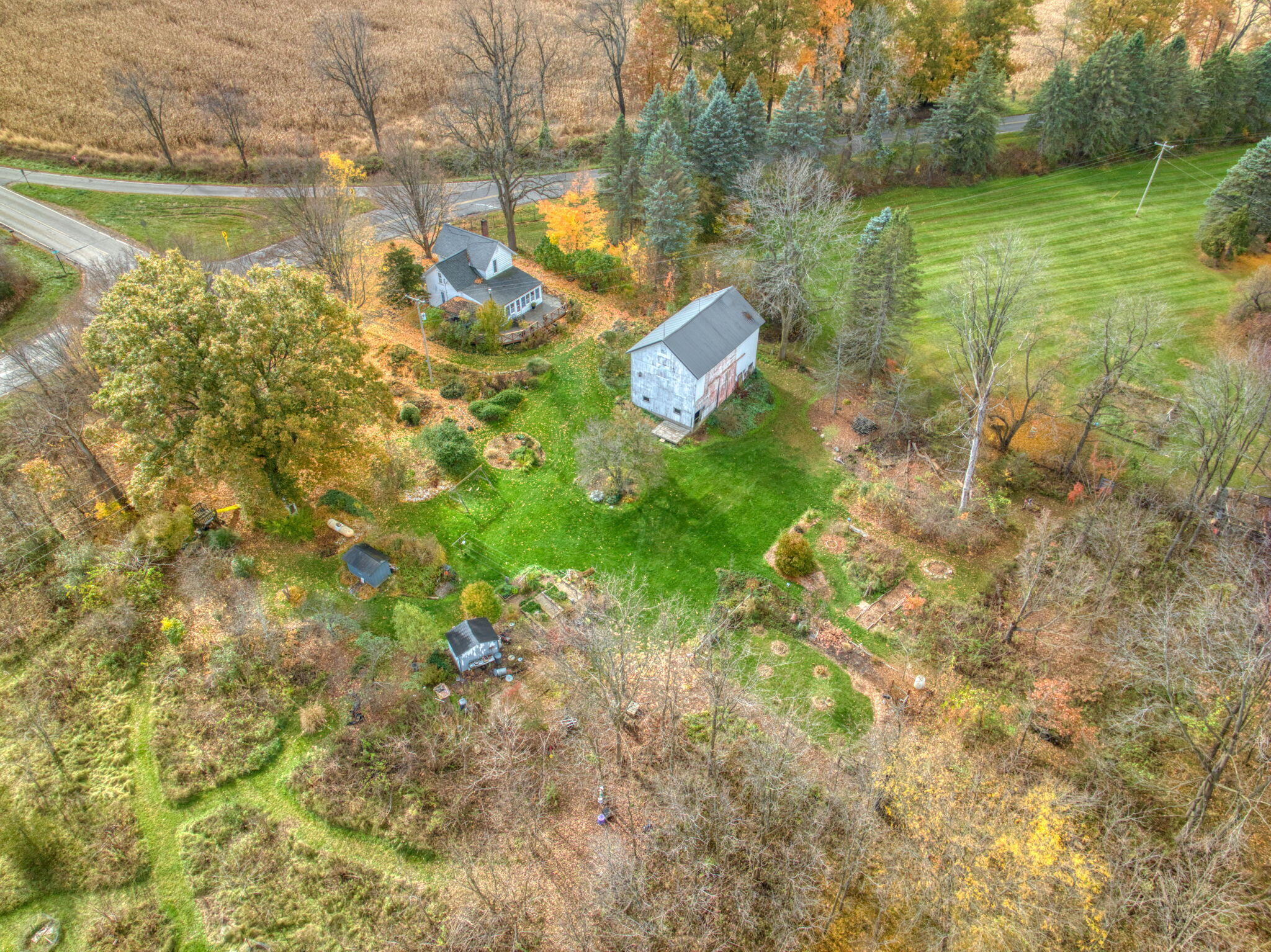 11099 Sears Road Concord, MI 49237 - Photo 4 of 91 62