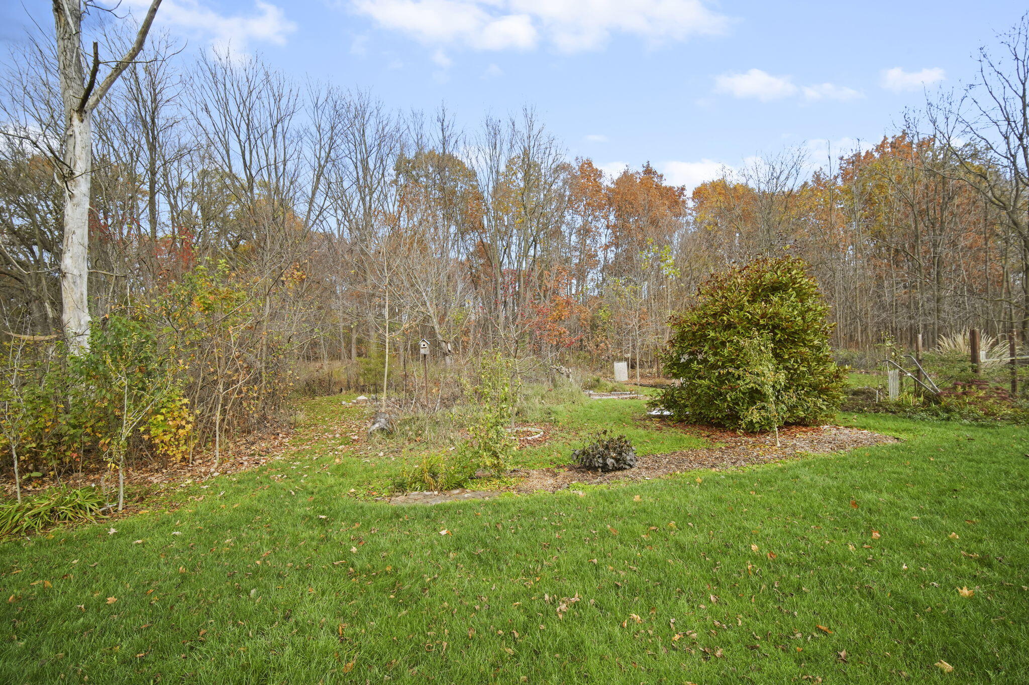 11099 Sears Road Concord, MI 49237 - Photo 62 of 91 44