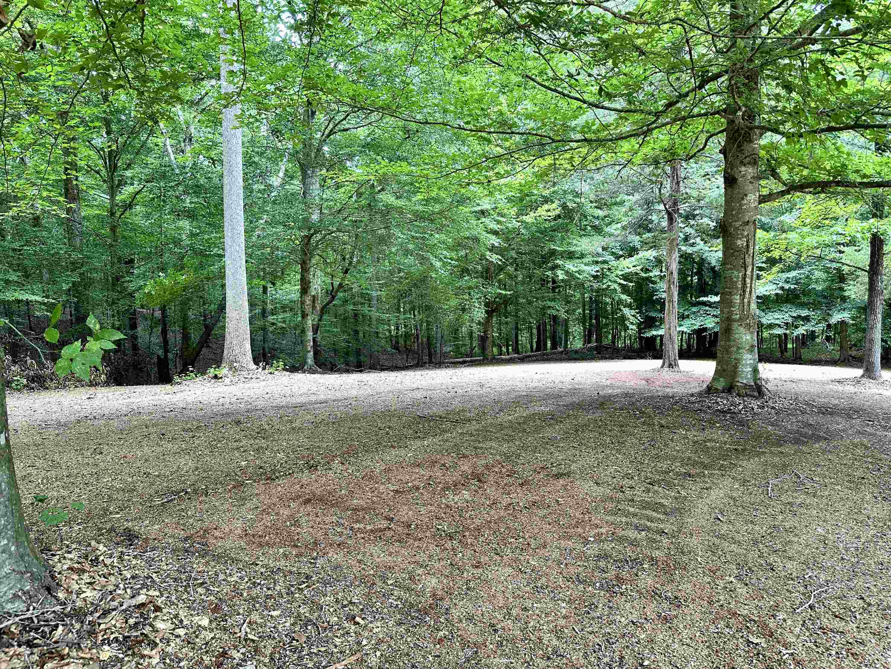 220 Willow Street Pacolet, SC 29372 - Photo 3 of 15