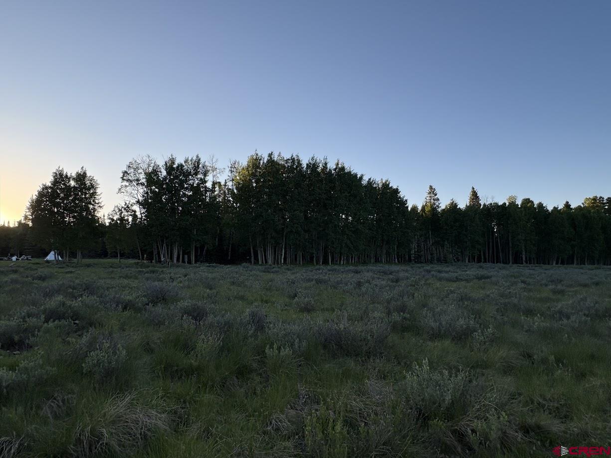 2150 Spruce Road Cimarron, CO 81220 - Photo 2 of 6 a view of an outdoor space and a yard