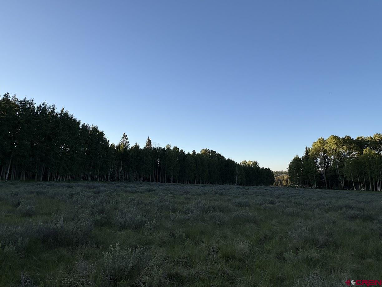 2150 Spruce Road Cimarron, CO 81220 - Photo 5 of 6 a view of a field