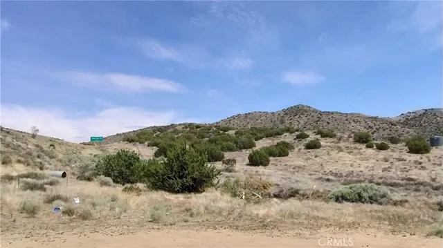 a view of a dry yard with mountains in the background