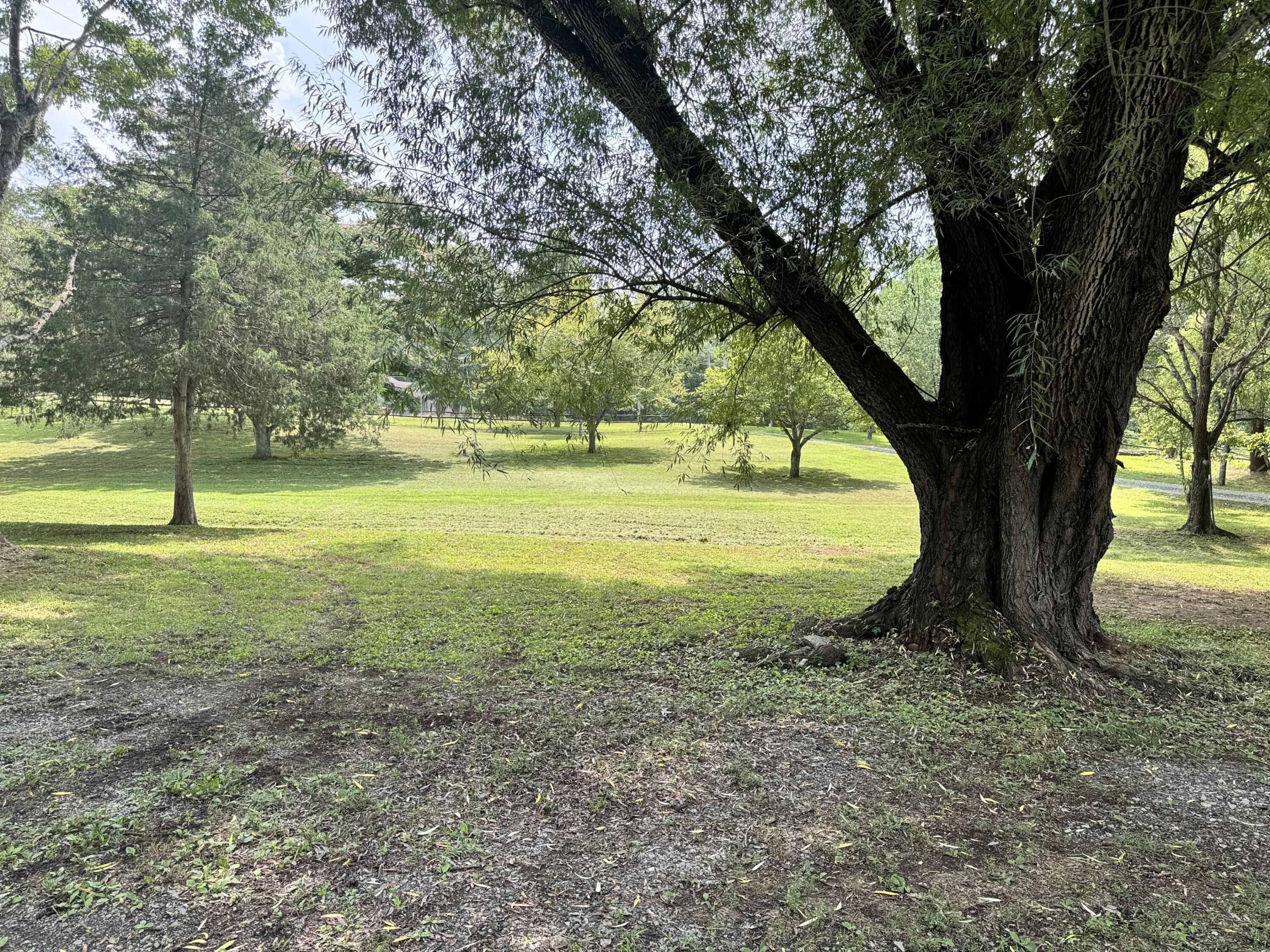 23 Meryls Road Buchanan, VA 24066 - Photo 21 of 26 Front Yard