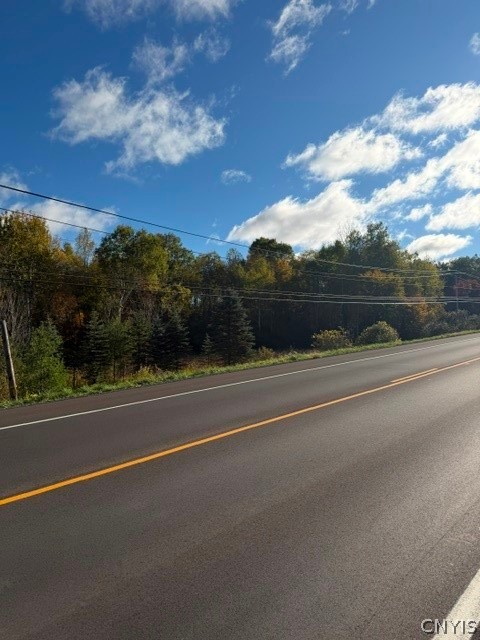 Jackson Road Carthage, NY 13619 - Photo 2 of 8 Mature trees line the roadside under a bright sky with scattered clouds.
